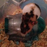 She likes her spaceship :)