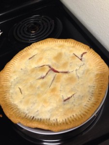 My roommate and I made a Pi Pie after finding rhubarb at the Daytona farmer's market. Strawberry rhubarb - it was yummy!
