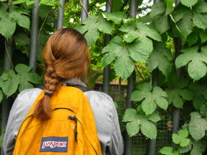Chloe Mora looking for animals in the Berlin Zoo.