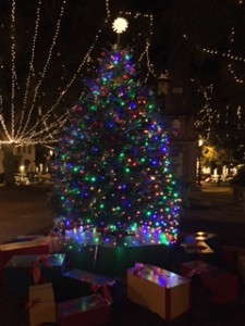 Christmas tree in St. Augustine