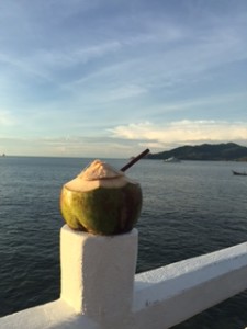 The view from the resort in Phuket, featuring my coconut.
