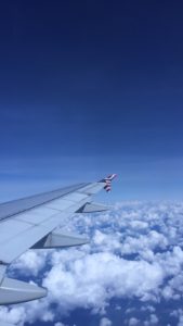 View out the window of the American flag sharklet